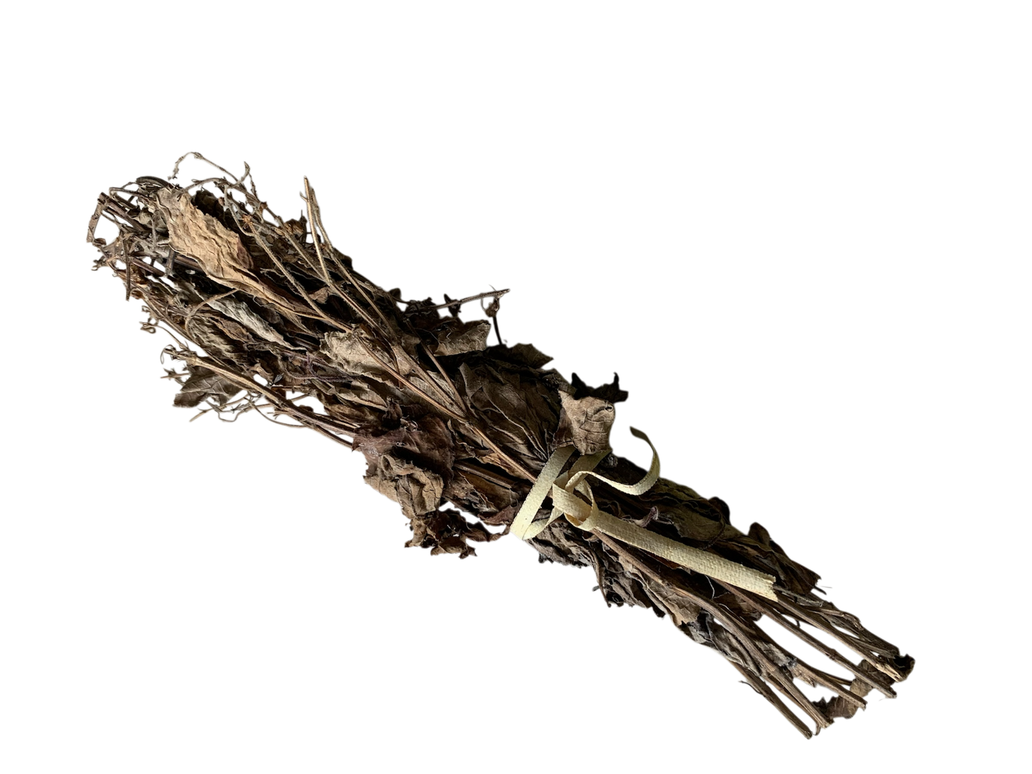 Feuilles de Sougolon