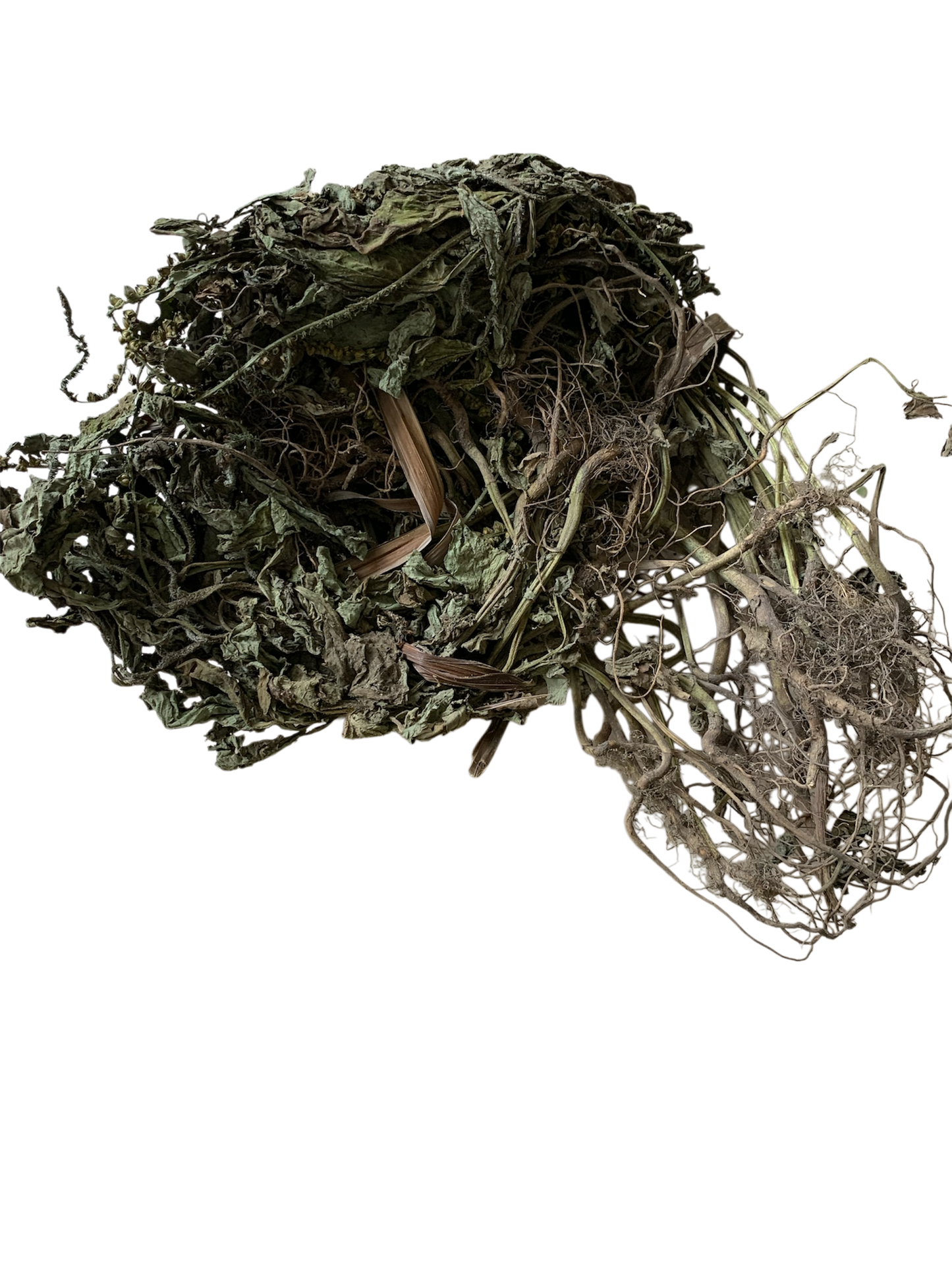 Feuilles de Nossikou