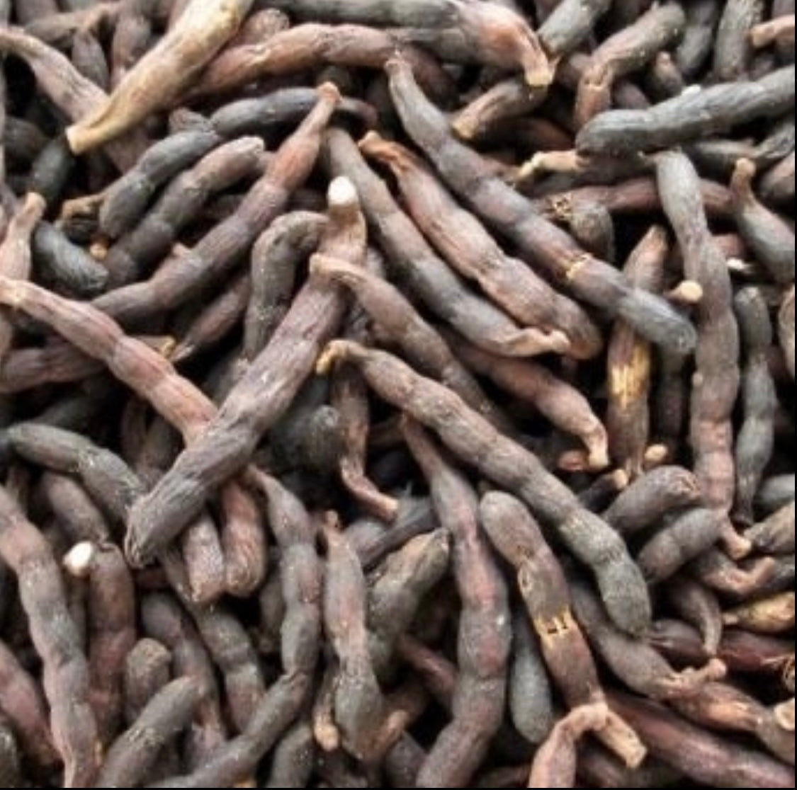 Poudre de poivre Africain - Baies de Selim