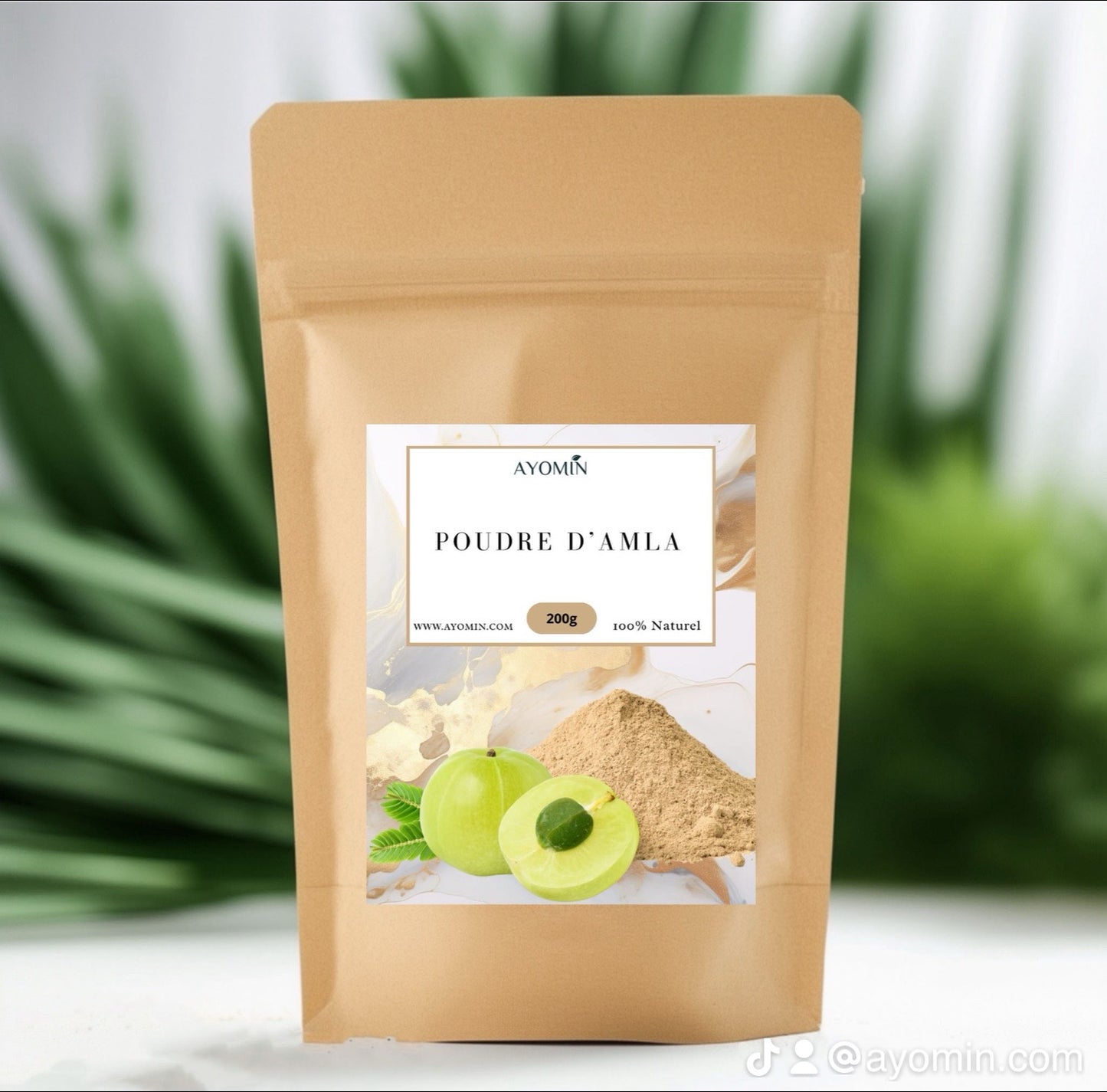 AYOMIN Poudre d'Amla, Complément Alimentaire Naturel, Superfood en Poudre, 200g, Riche en Vitamine C et Antioxydants pour Cheveux et Peau