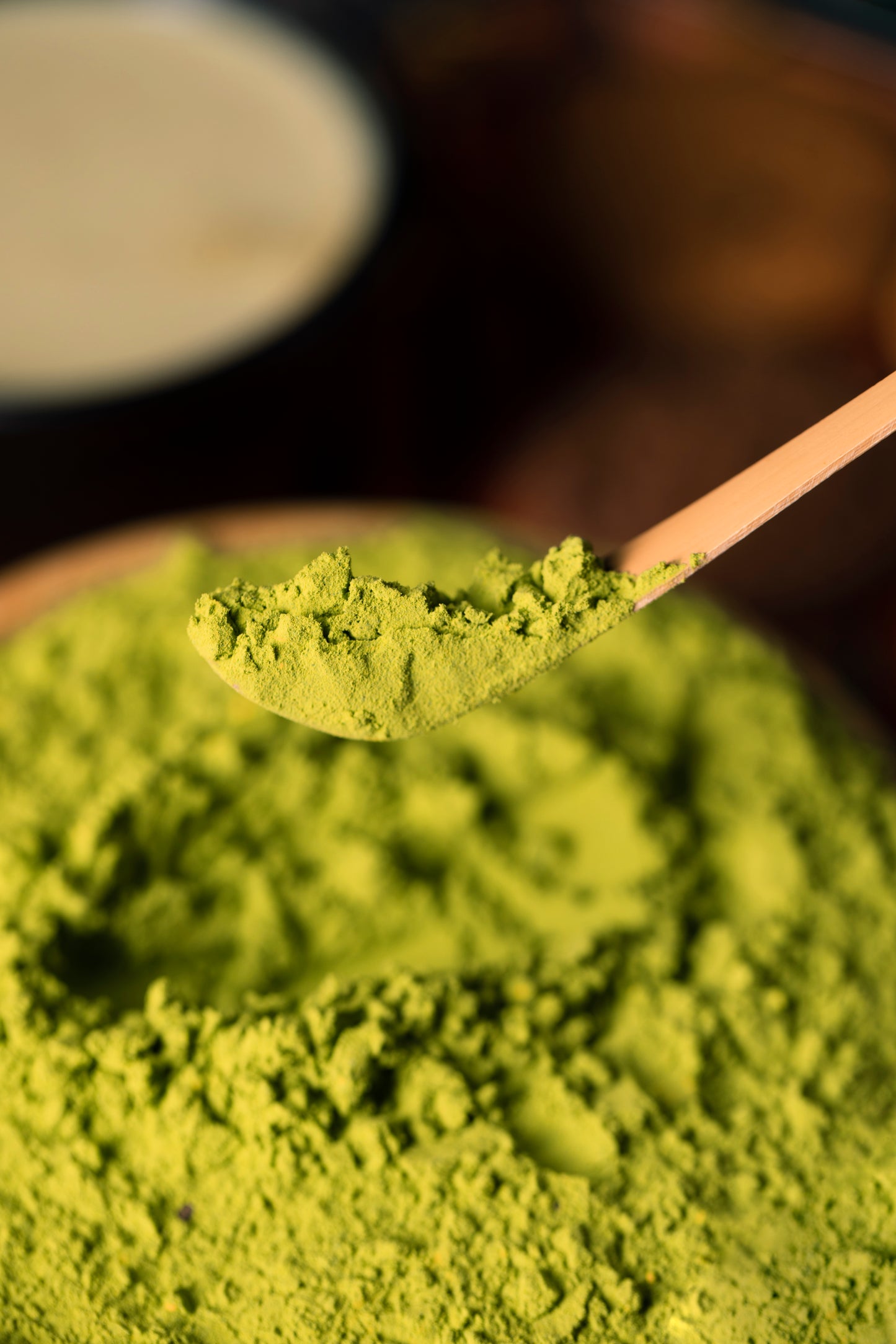 Moringa poudre - 100g