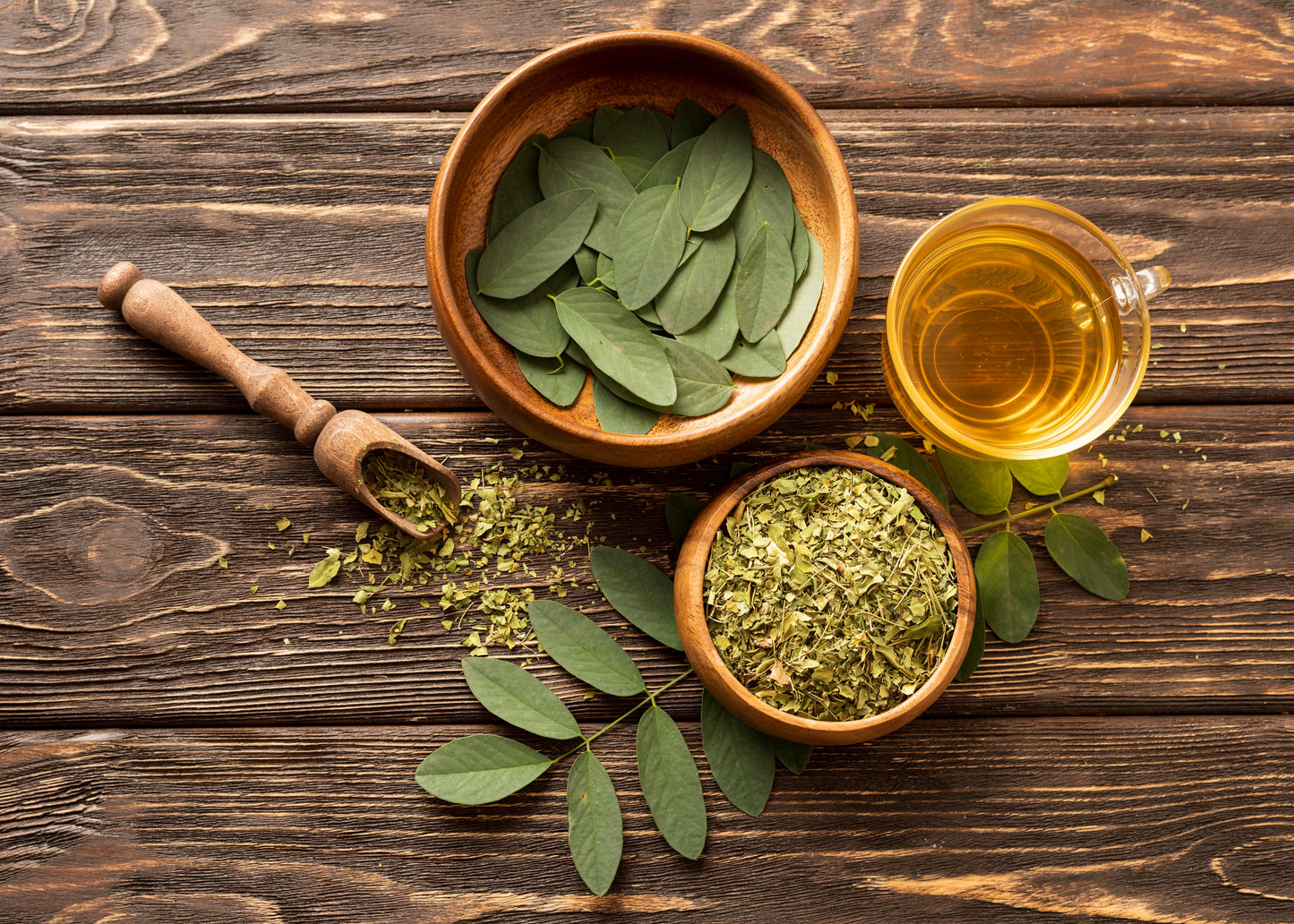 Infusion Feuilles de Moringa Bio