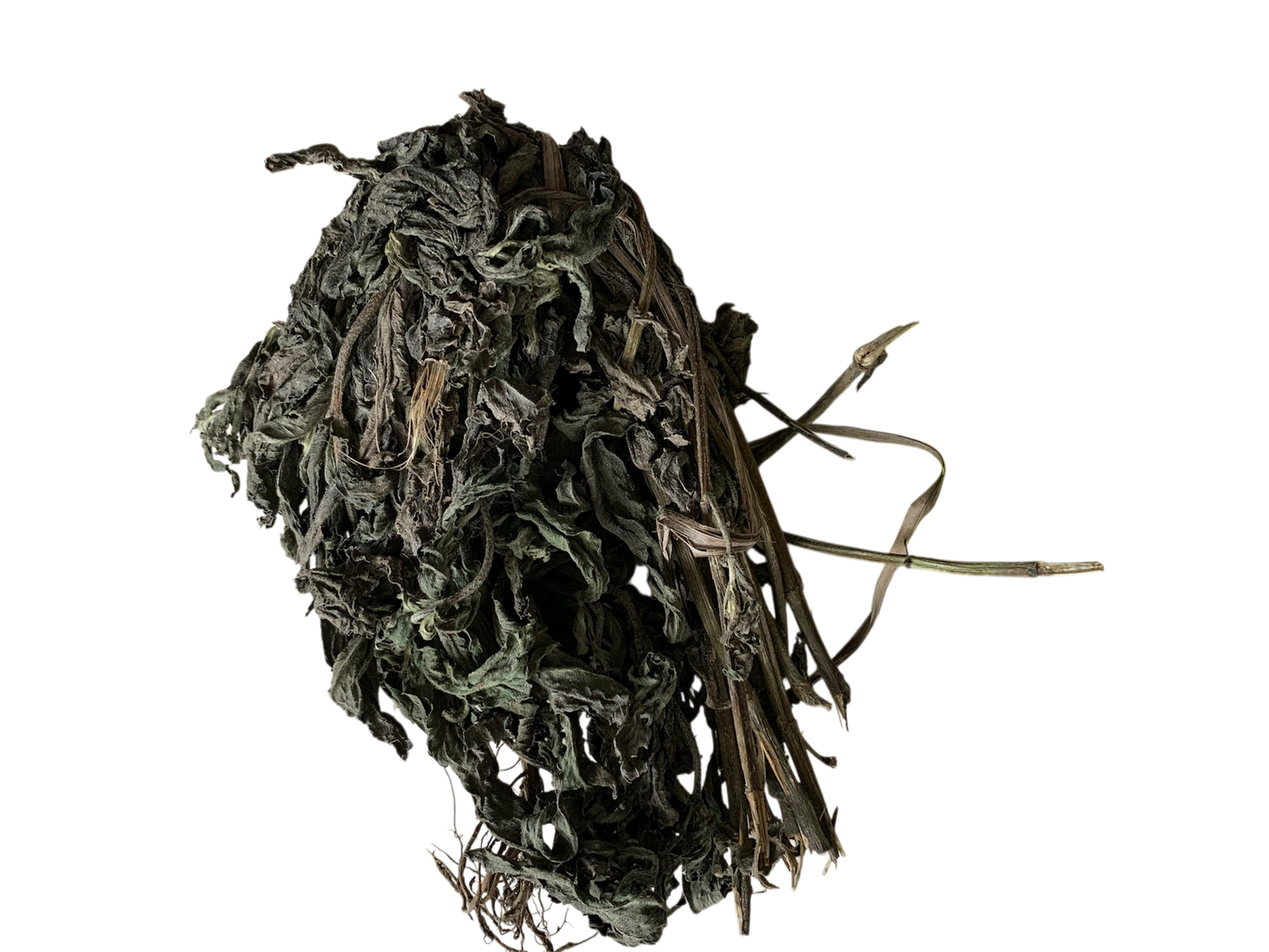 Feuilles de Moussofi