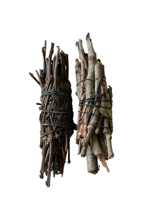 Ladon de Tambakoumba et Ladon de Citron ( L’effaceur)