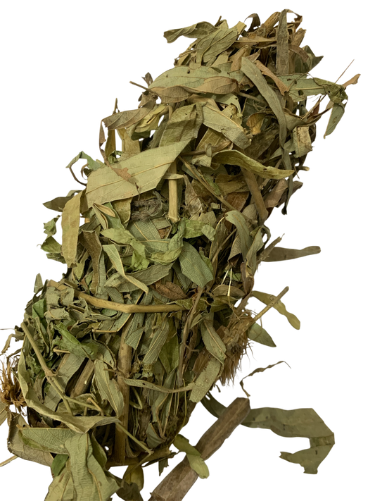 KATICLÈ