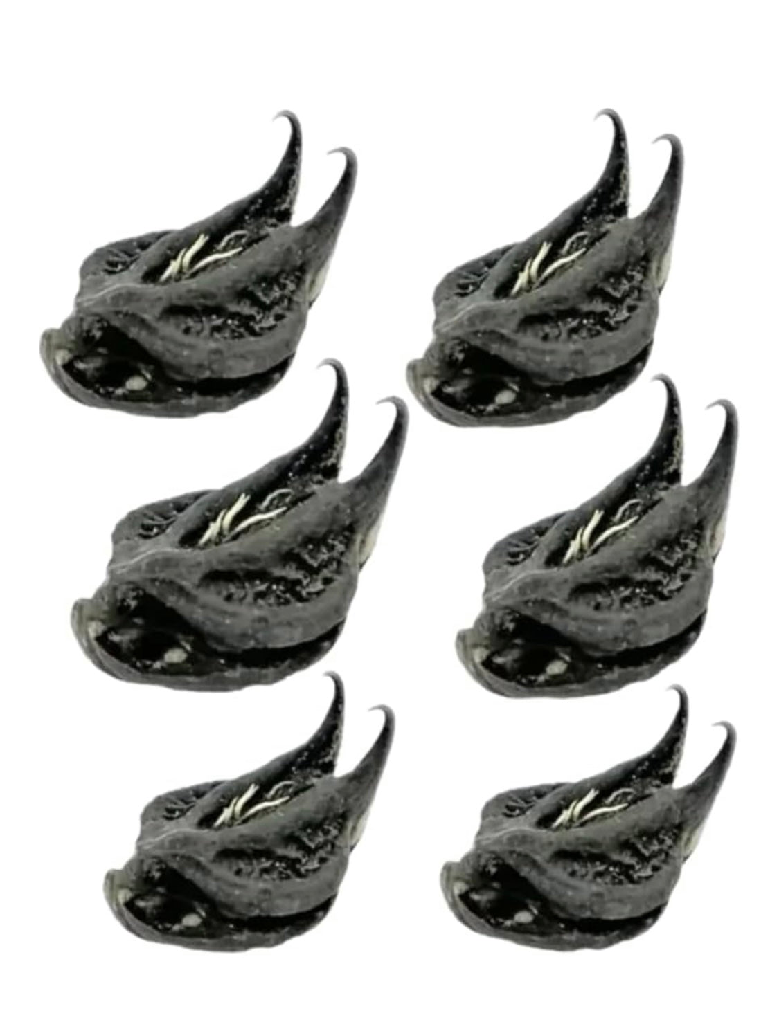 Bicorne - Griffe de lion