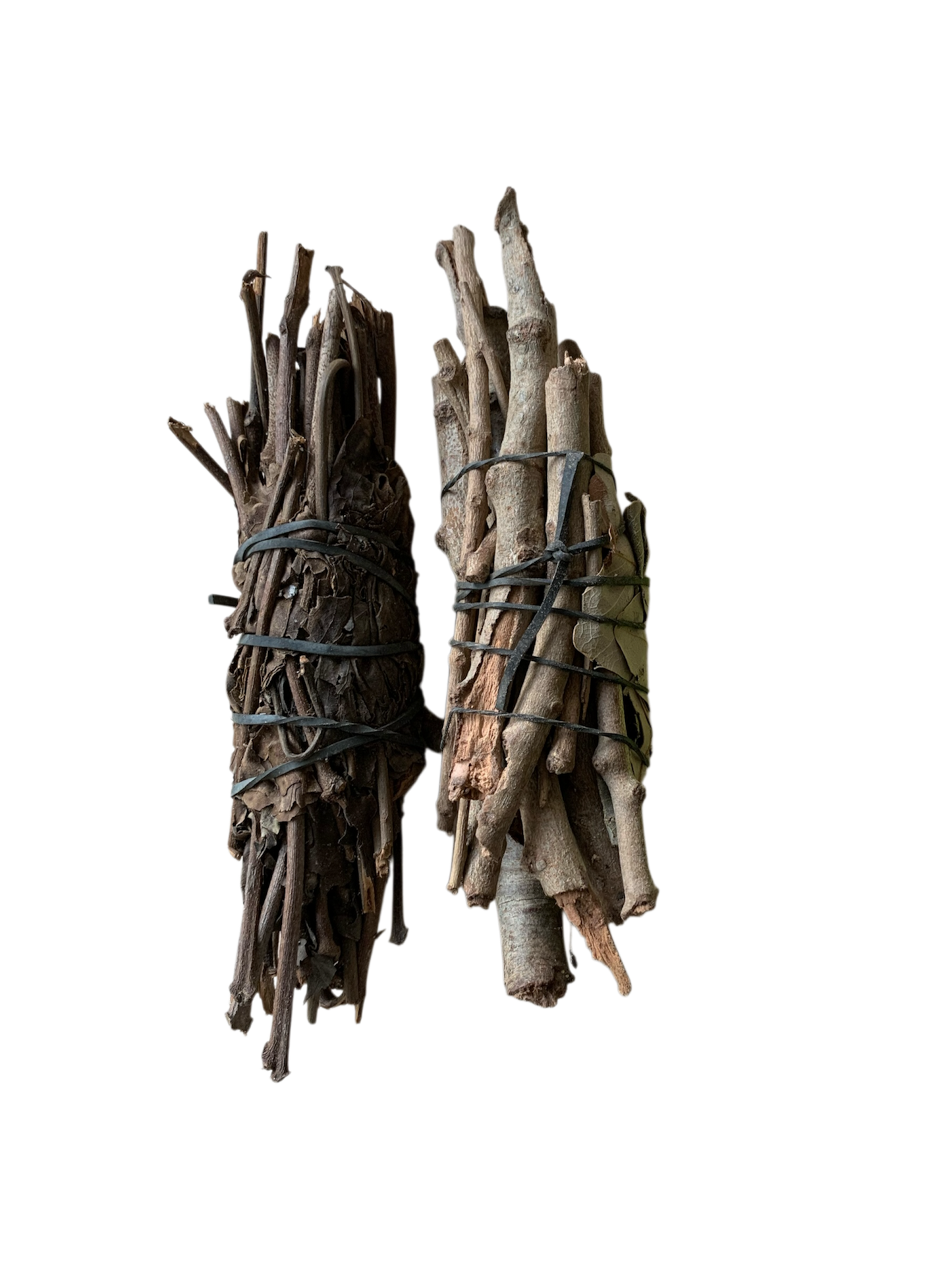 Ladon de Tambakoumba et Ladon de Citron ( L’effaceur)