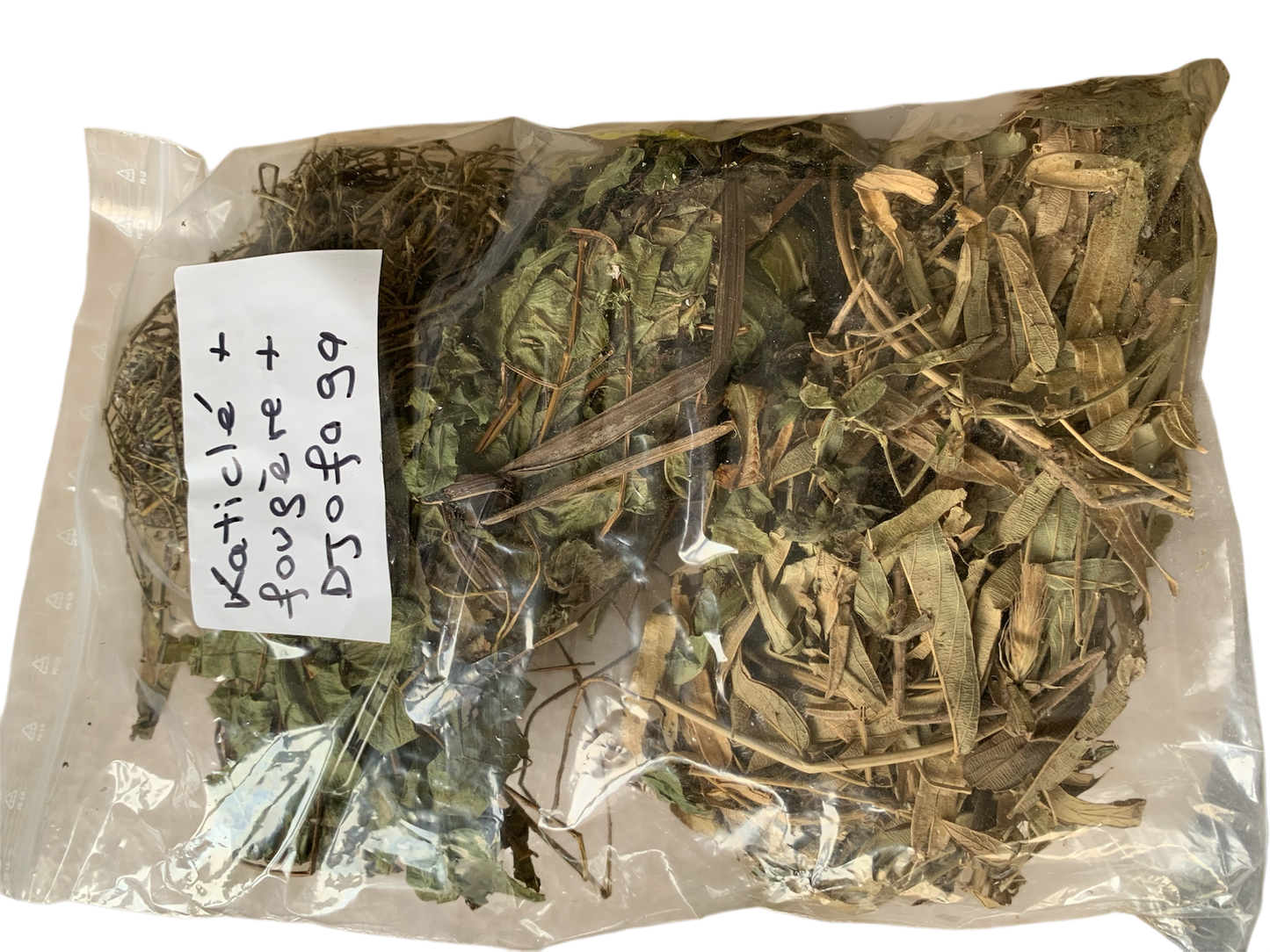 Katiclè - Fougères Djofaga -