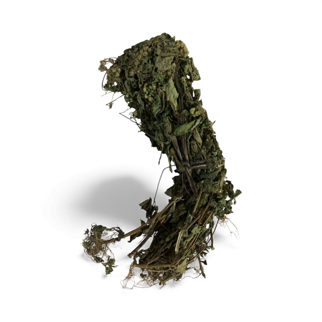 Roi Des Herbes