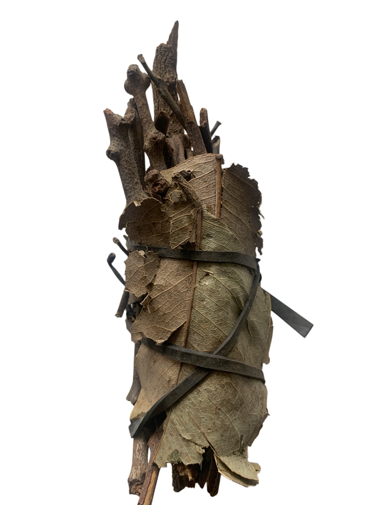 Ladon de     Tamba koumba