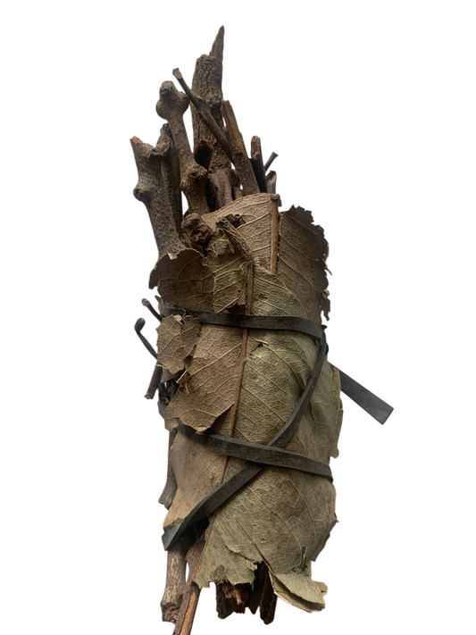 Ladon de     Tamba koumba