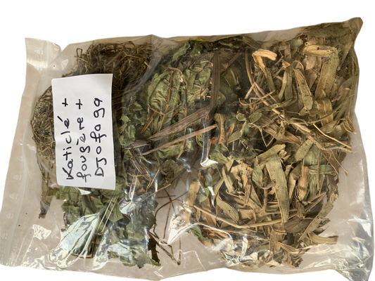 Katiclè - Fougères Djofaga -