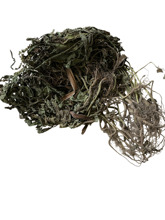 Feuilles de Nossikou