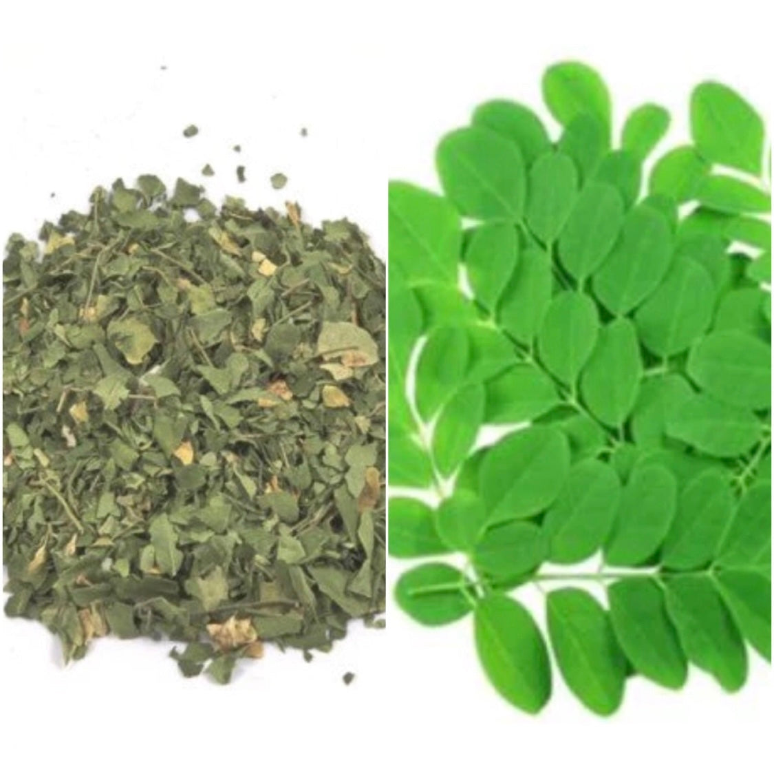 Infusion Feuilles de Moringa Bio