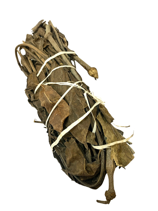 Ladon de Djatigui Faga