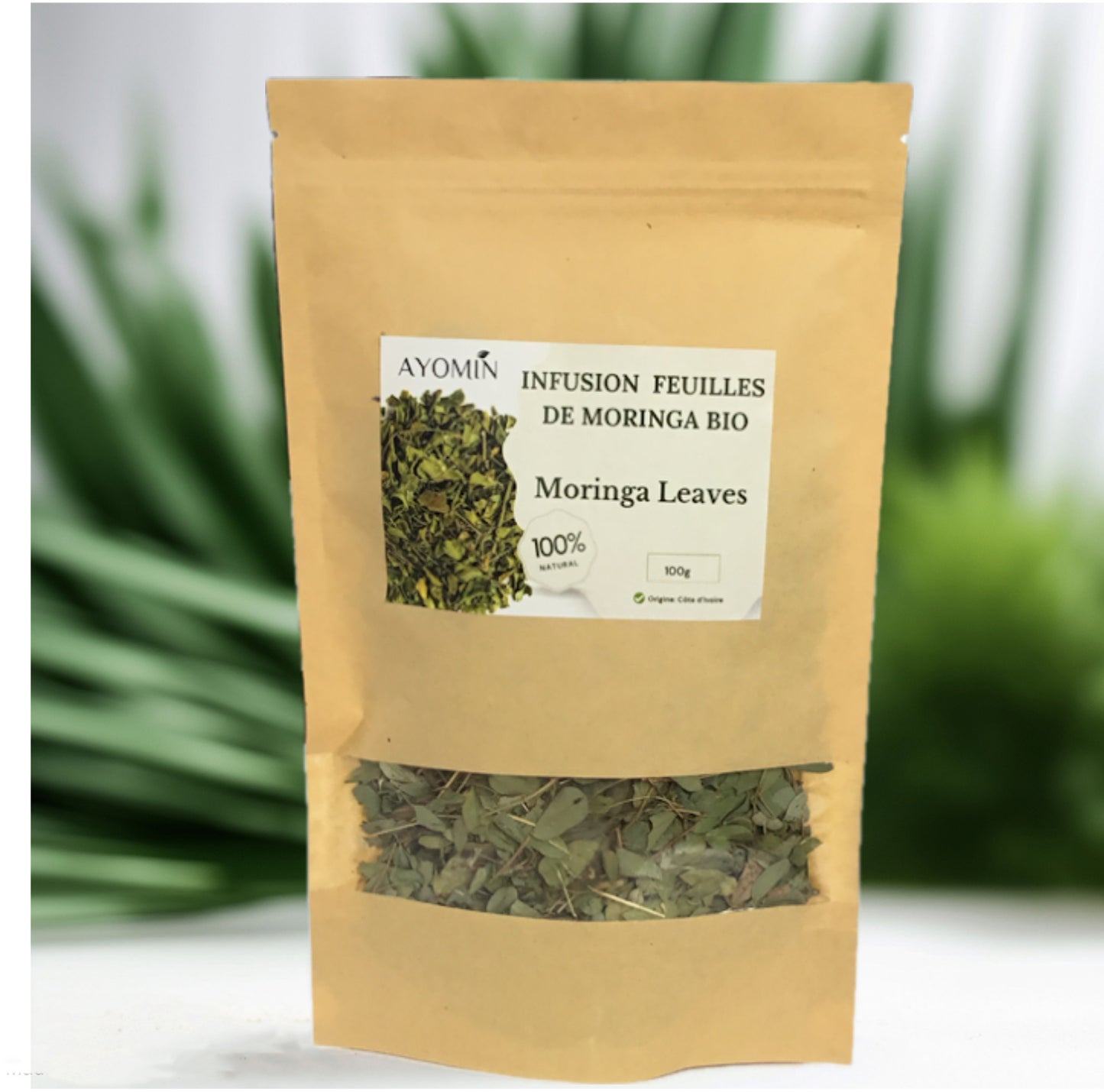 Infusion Feuilles de Moringa Bio