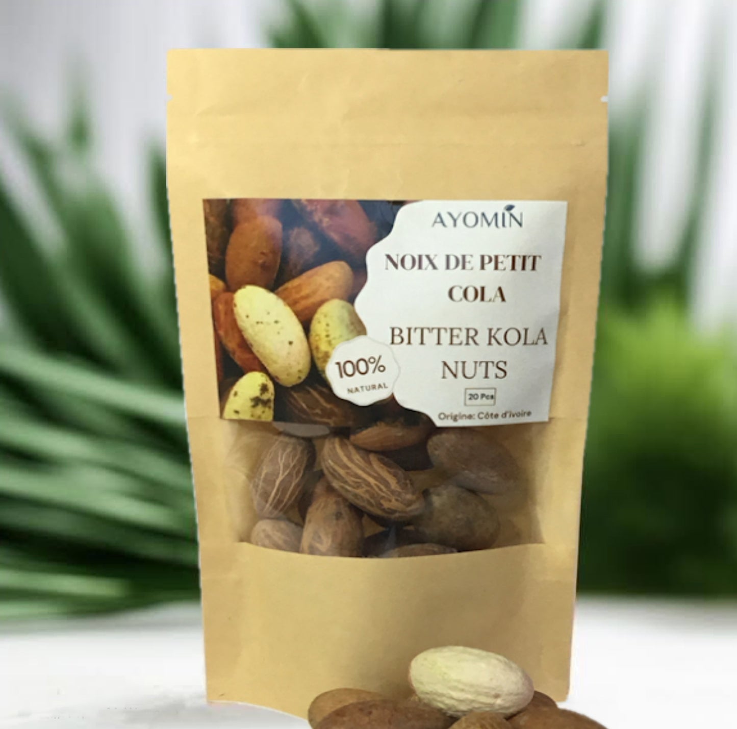 Noix de Petit Cola- Bitter Kola Nut X 20 pcs